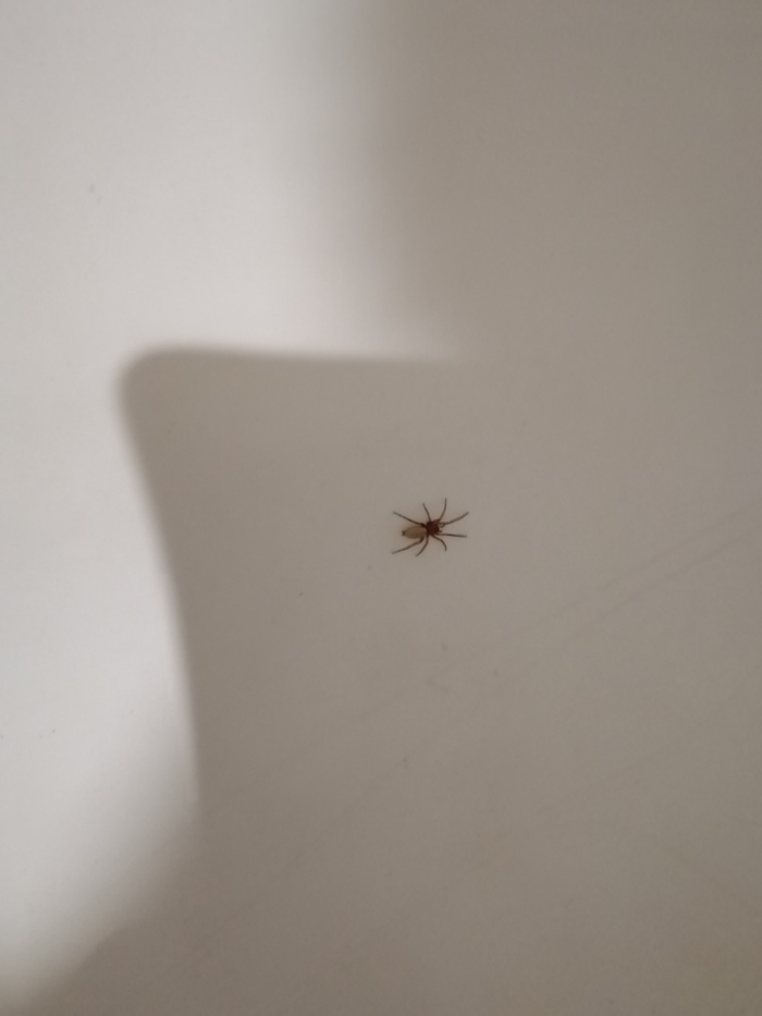 ��� �� �����???