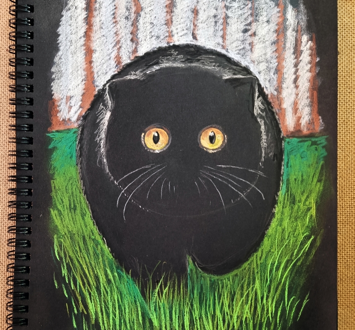 художник что рисует кошек. 1637944901164048674. художник что рисует кошек фото. художник что рисует кошек-1637944901164048674. картинка художник что рисует кошек. картинка 1637944901164048674. Получайте на почту один раз в сутки одну самую читаемую статью. Присоединяйтесь к нам в Facebook и ВКонтакте.