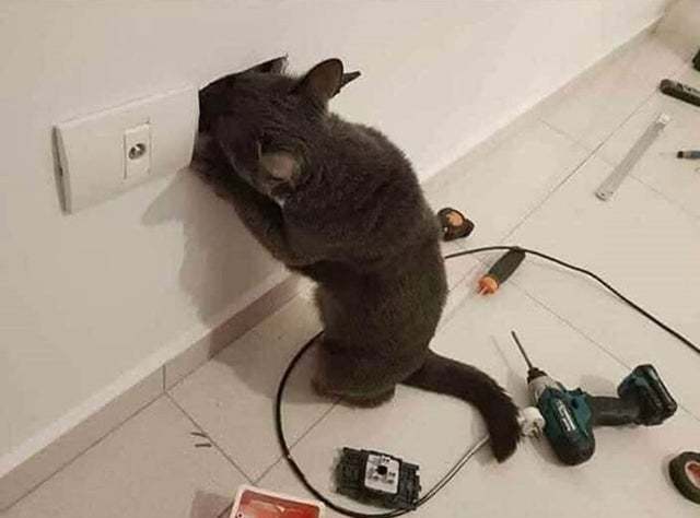 Машина кота леопольда в реальной жизни картинки. Смотреть фото Машина кота леопольда в реальной жизни картинки. Смотреть картинку Машина кота леопольда в реальной жизни картинки. Картинка про Машина кота леопольда в реальной жизни картинки. Фото Машина кота леопольда в реальной жизни картинки