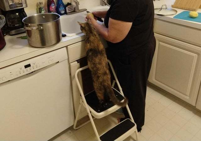 Машина кота леопольда в реальной жизни картинки. Смотреть фото Машина кота леопольда в реальной жизни картинки. Смотреть картинку Машина кота леопольда в реальной жизни картинки. Картинка про Машина кота леопольда в реальной жизни картинки. Фото Машина кота леопольда в реальной жизни картинки