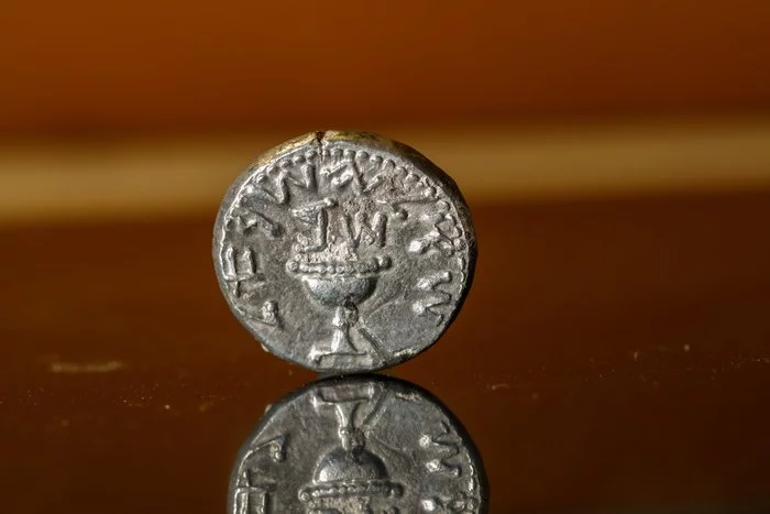 11-year-old girl found the rarest coin in the excavations in Israel - Archaeological finds, Coin, Archaeological excavations, Interesting, Israel, Jerusalem, Video, Longpost