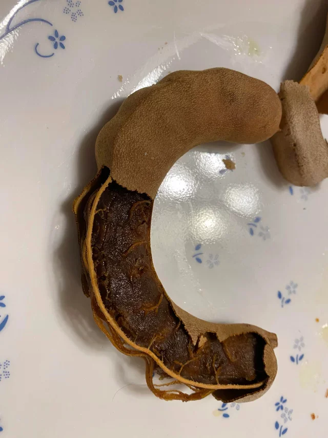 Что это за штука - 143 Reddit, Перевел сам, WhatIsThisThing, Видео, Длиннопост Что это за штука - 143 Reddit, Перевел сам, WhatIsThisThing, Видео, Длиннопост