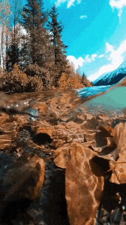   , , , 