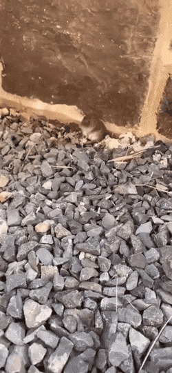   , , , 