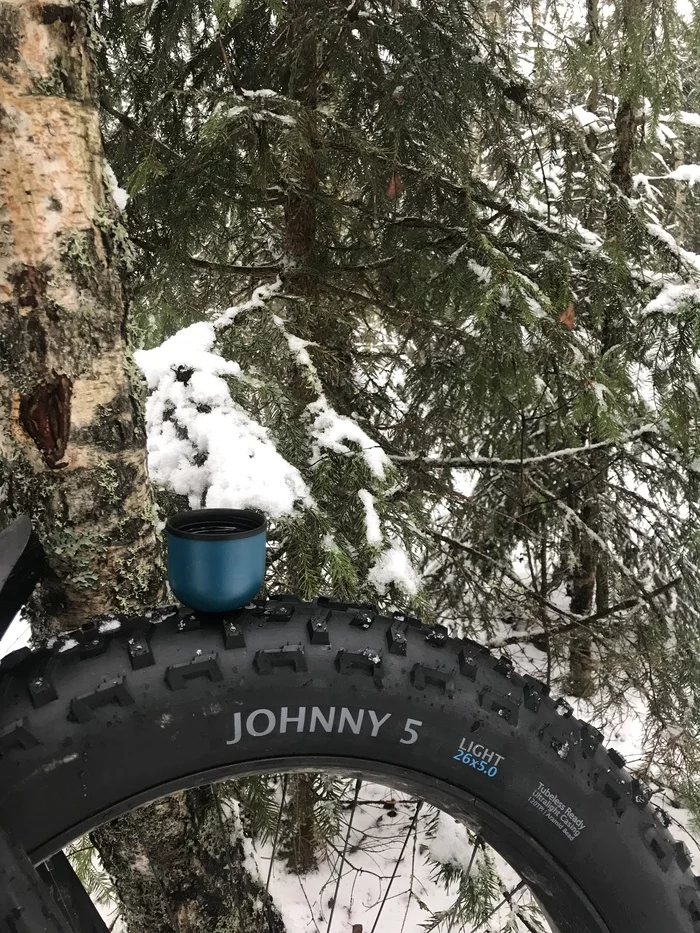 Winter new thing - My, A bike, Tires, Longpost