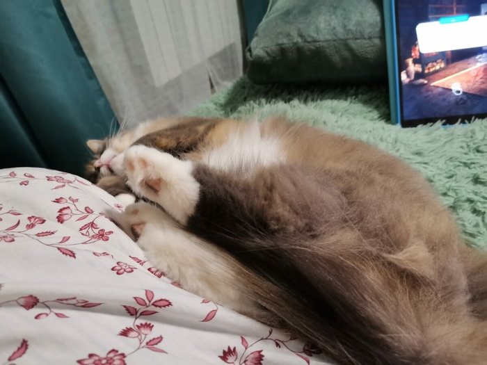 1637939939172511338 Можно я тебя потрогаю там