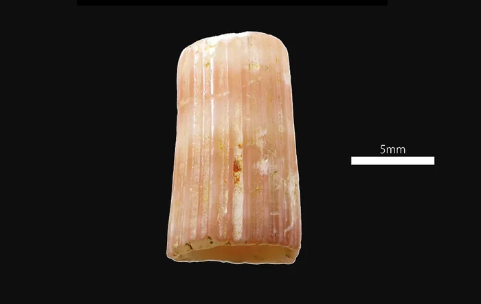 23,000-year-old colored precious bead found - Story, Decoration, Japan, Beads