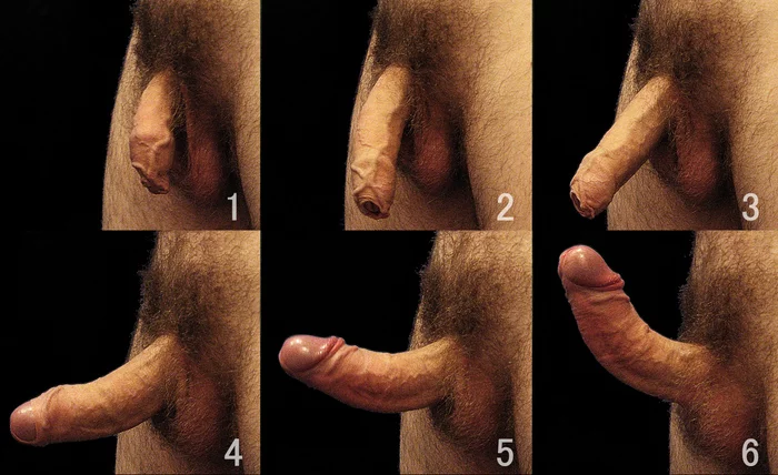 Growing: p - NSFW, Penis, From the network, Video, Longpost, Playgirl