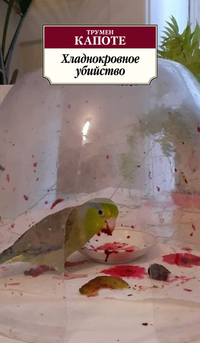   , , , , 