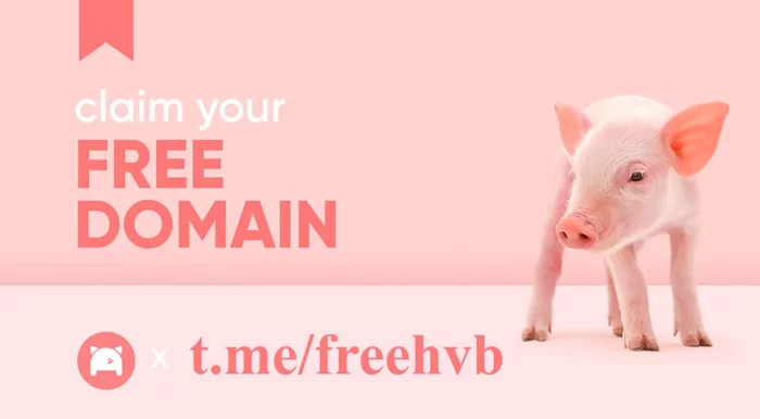 Free domain for 1 year from PorkBun - Freebie, Is free, Services, Subscription, Promo code, Stock, Domain, Site, Programming, Web Programming, IT, Development of, Work, Freelance, Internet, Business, Longpost