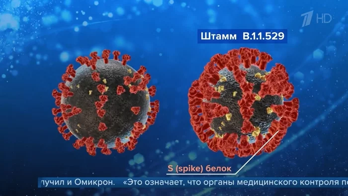 A new strain of coronavirus Omicron, which is more resistant and contagious than Delta, is of serious concern in Europe and the WHO - Coronavirus, Pandemic, Vaccination, Vaccine, South Africa, Mutation, Delta, First channel, Society, WHO, Longpost, Video, Omicron