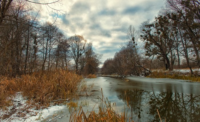 ������ ������