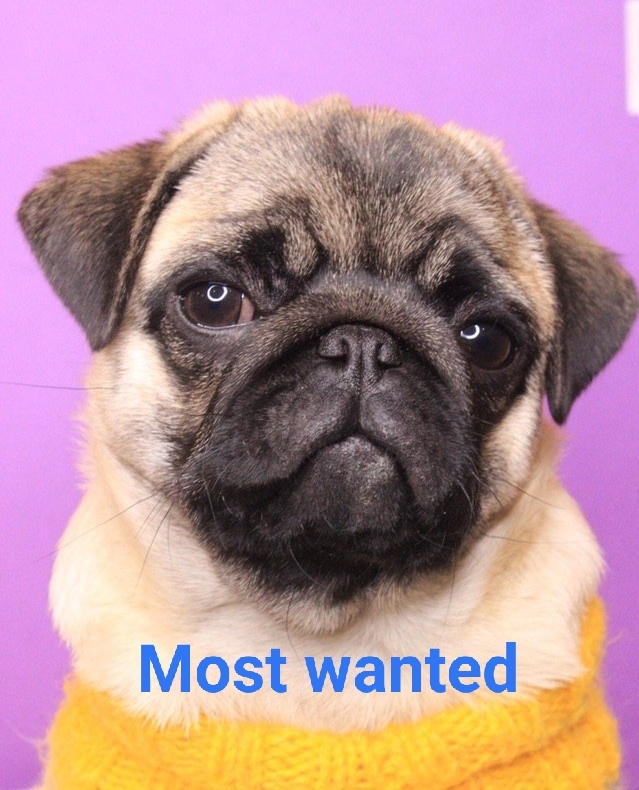 ��� ���������� ����� ������� �������������