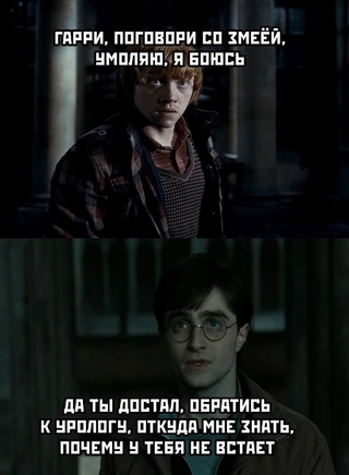 Well talk - Harry Potter, Snake, Erection, Picture with text, Memes, Humor