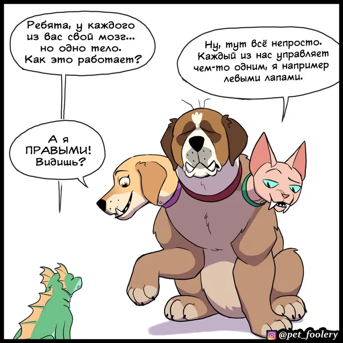 Oh Hugo... - Pet foolery, Comics, Brutus and Pixie, Lola and Mr. Wrinkle, Longpost