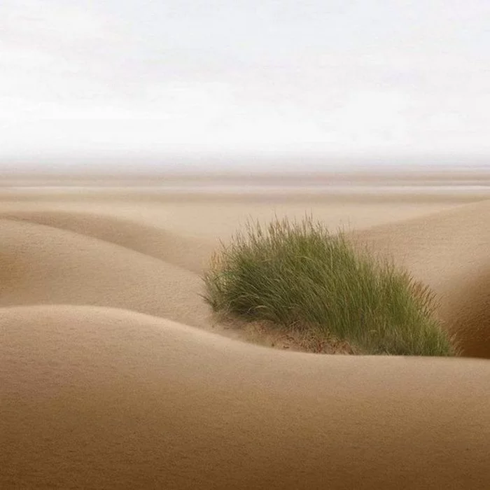 Just a desert. Just a mirage! - Hot sand, Oasis, It's good where we're not there