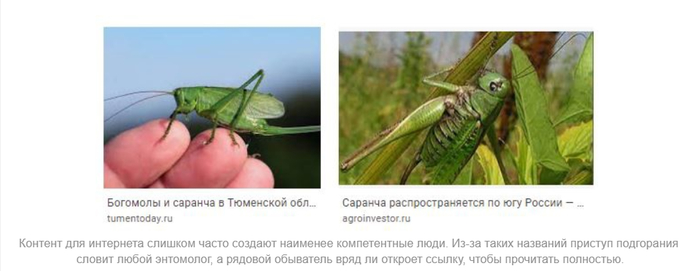Чем питается муха если у нее лижущий ротовой аппарат. Смотреть фото Чем питается муха если у нее лижущий ротовой аппарат. Смотреть картинку Чем питается муха если у нее лижущий ротовой аппарат. Картинка про Чем питается муха если у нее лижущий ротовой аппарат. Фото Чем питается муха если у нее лижущий ротовой аппарат