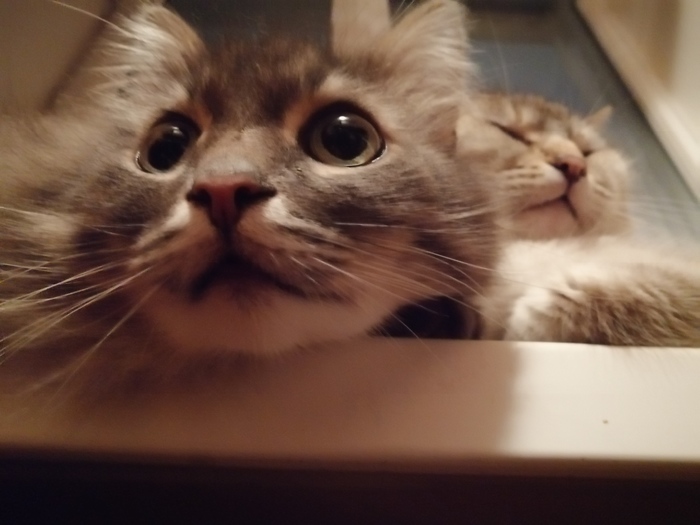    , ,  , , 