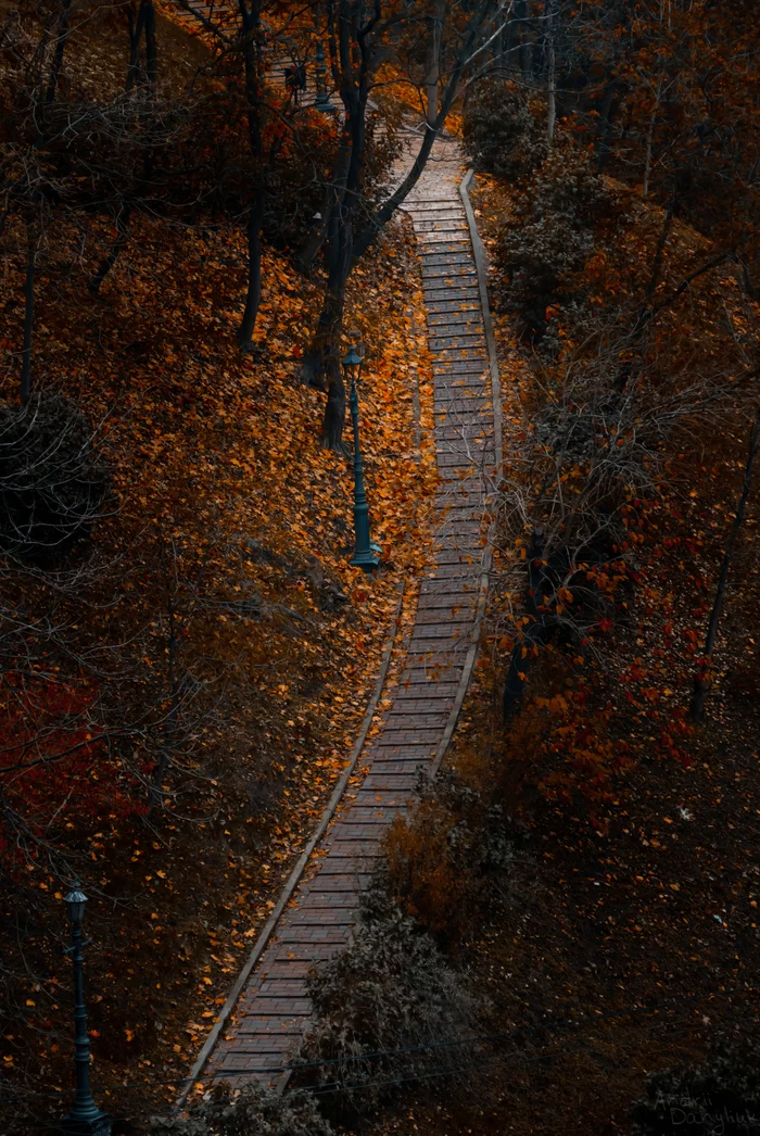 Until autumn - My, The photo, Autumn, Leaves