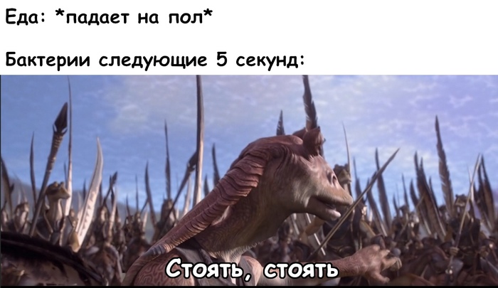 Правило пяти секунд