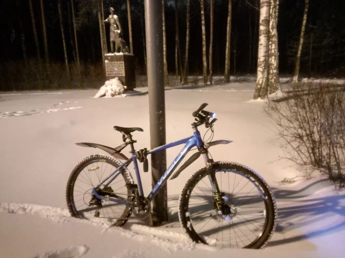 It's snowy in St. Petersburg today - My, Saint Petersburg, Winter, Snow, A bike