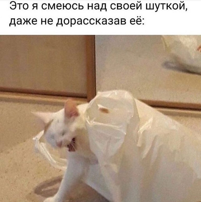 Всегда так