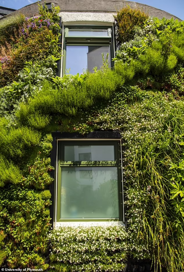 Living Walls from plants reduce energy costs by 30% - Ecology, Energy, House, Building, The science, Scientists, Great Britain, Longpost