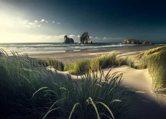 Photo - The photo, New Zealand, Coast, Beautiful