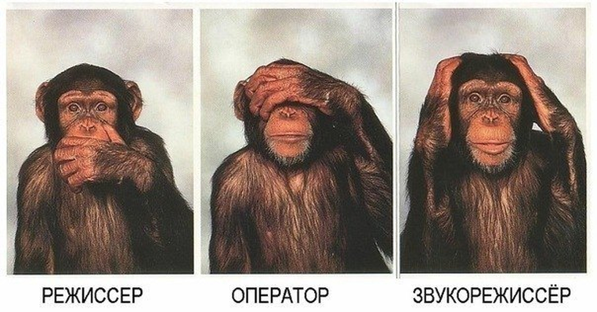 Слышу значит вижу. Мудрая обезьяна. Три обезьяны. Обезьянка закрывает глаза. Обезьяна закрывает глаза руками.
