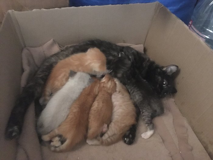 16383776791490543 Можно я тебя потрогаю там