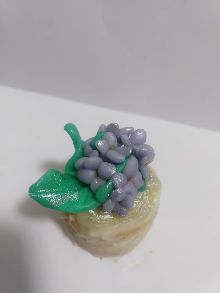 My first cake - My, Confectionery, Flowers, Small, Longpost