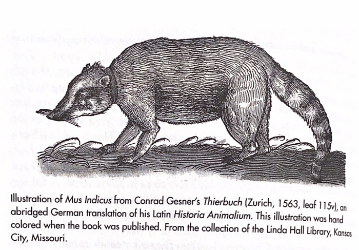 ������ ��������� ����� "����"