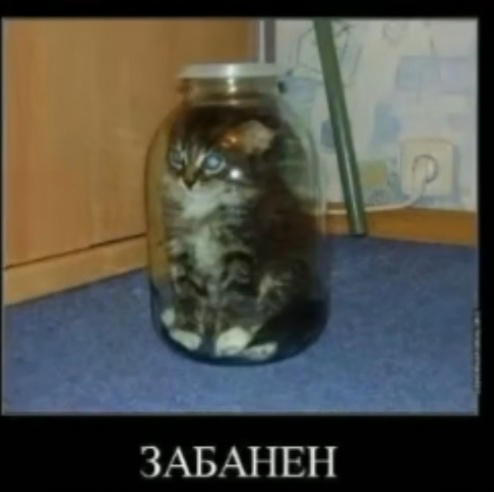 I don't know what headline to pick up for this. - Ban, Kittens, Jar, Repeat