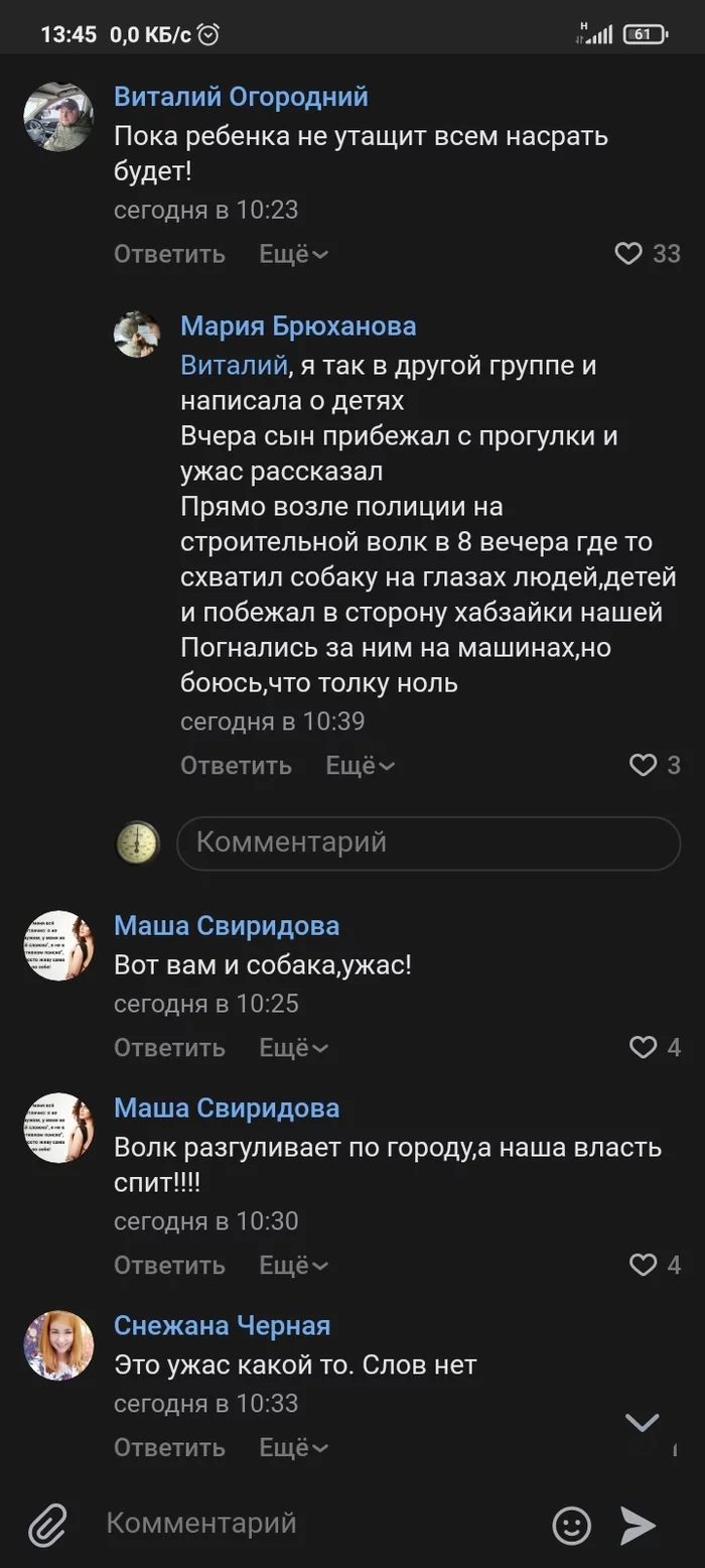 В Оленегорске волки жрут котов - Мурманская область, Волк, Дикие животные, Видео, Длиннопост, Негатив, Оленегорск