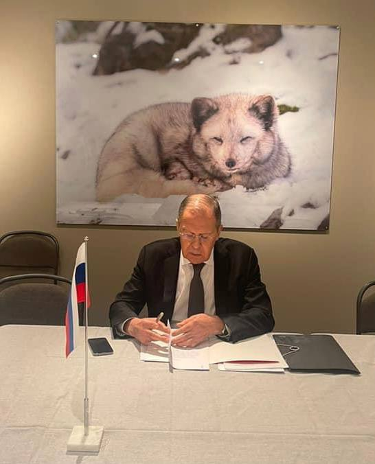 Sergey Lavrov and a full fox - Politics, Sergey Lavrov, Arctic fox