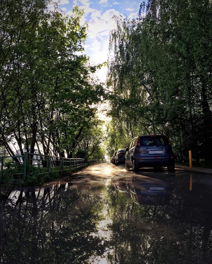 Spring morning - My, Spring, Morning, The photo, Wet asphalt, Zelenograd