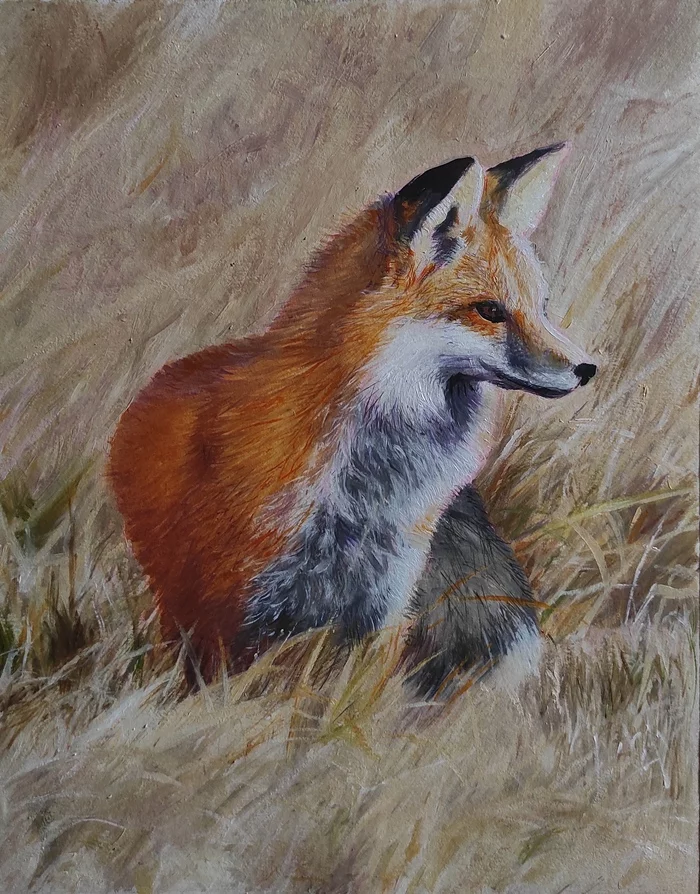 Fox - My, Oil paints, Animalistics, Fox