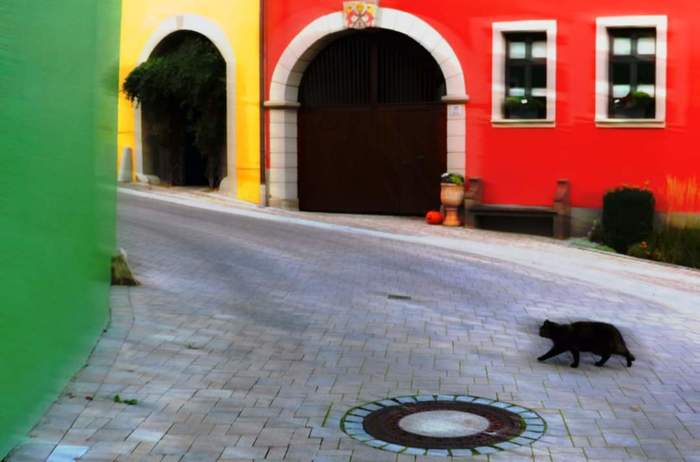 ...правила ДД соблюдает!