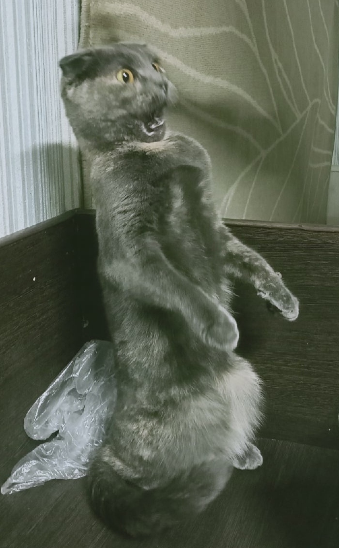 ������� � ������ ���� �� �����