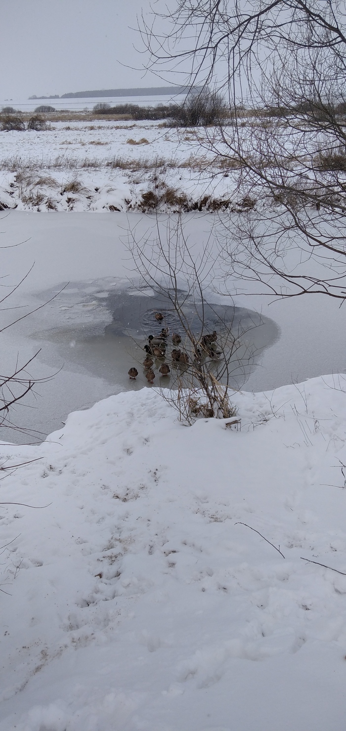 ��� QR ����� �� �� �� �������