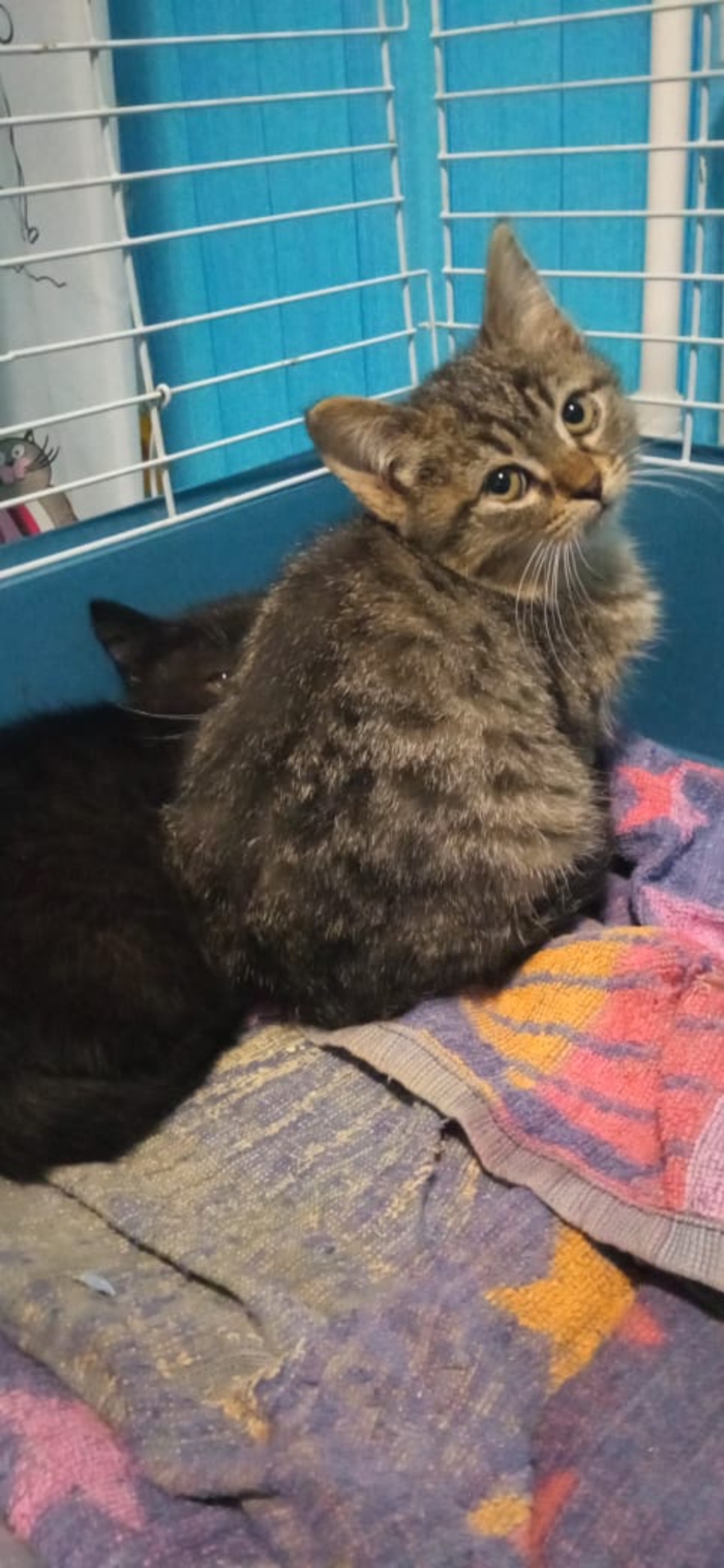 Вот читай тут написано что я котик ты котик. 1638506797190515280. Вот читай тут написано что я котик ты котик фото. Вот читай тут написано что я котик ты котик-1638506797190515280. картинка Вот читай тут написано что я котик ты котик. картинка 1638506797190515280. Вот читай тут написано что я котик ты котик. 1638506797190515280. Вот читай тут написано что я котик ты котик фото. Вот читай тут написано что я котик ты котик-1638506797190515280. картинка Вот читай тут написано что я котик ты котик. картинка 1638506797190515280.