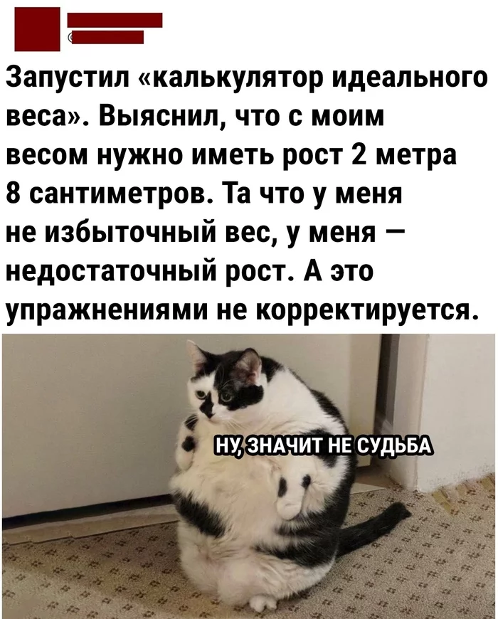 Well... - Excess weight, Fat cats, cat, Picture with text