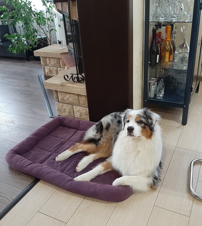 ��, ������, �����������...