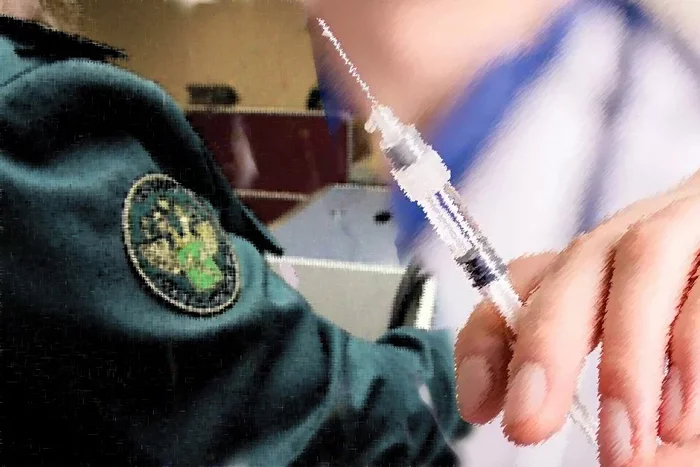 Will they be fired from public service without vaccination? - My, Civil service, Vaccine, Coronavirus, Customs, Officials, Longpost