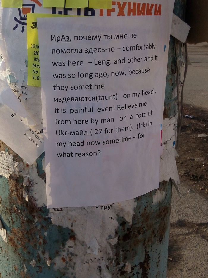 ���� ����