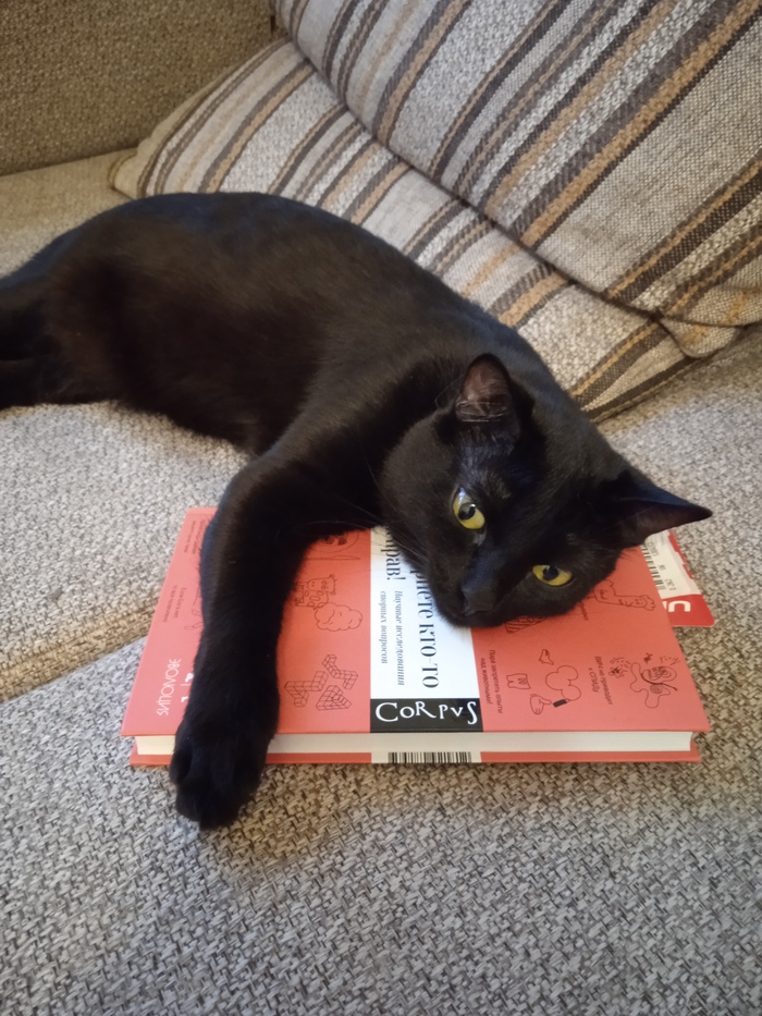 � ��������� ���-�� �� ����