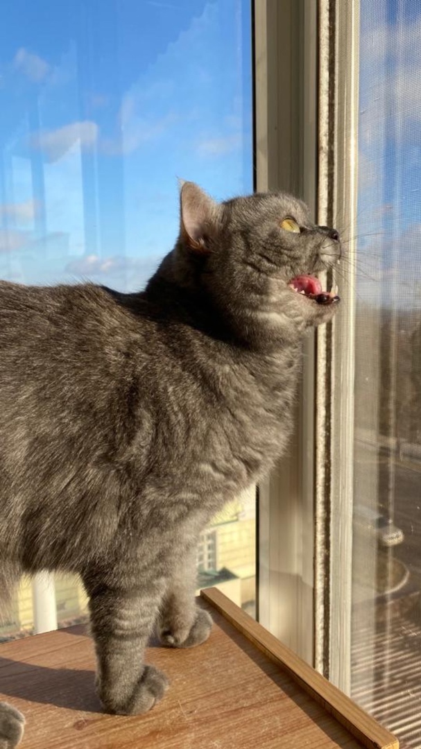 ��� �����))))