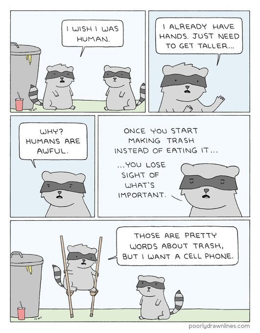 Raccoon needs more - Raccoon, Humor, Comics, Translation, Irony