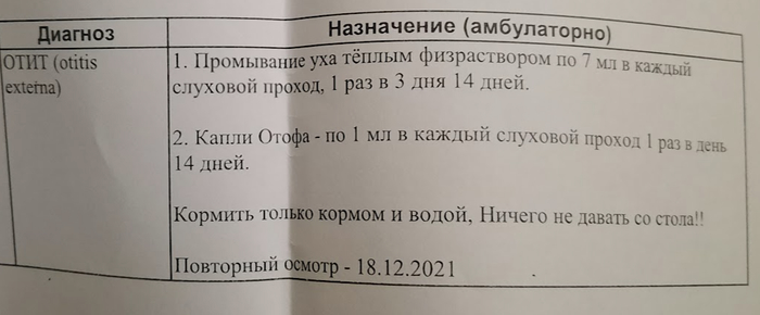 Нужна помощь в лечение собаки