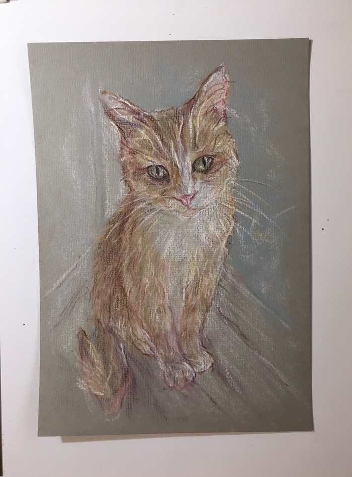 � 4 ������ , �������